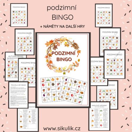 PODZIM Bingo, Pexeso, Kartičky