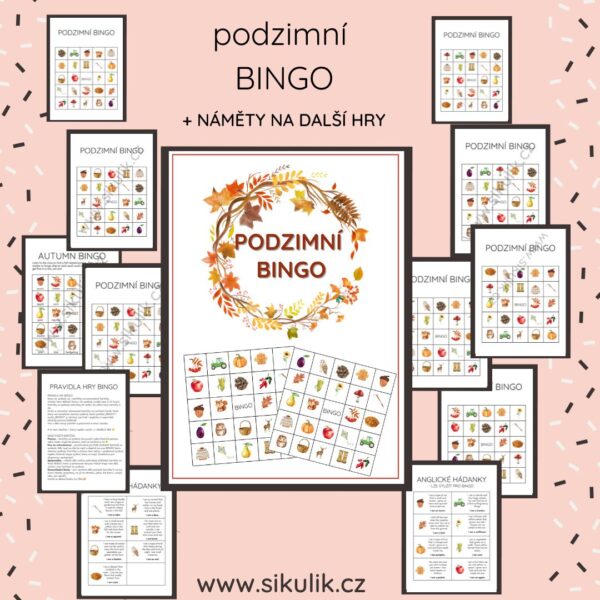 PODZIM Bingo, Pexeso, Kartičky