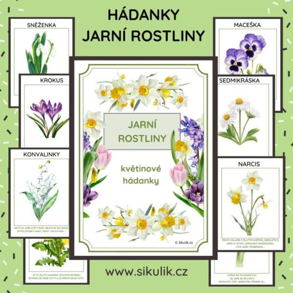 JARNÍ ROSTLINY HÁDANKY+ DEMONSTRAČNÍ KARTY