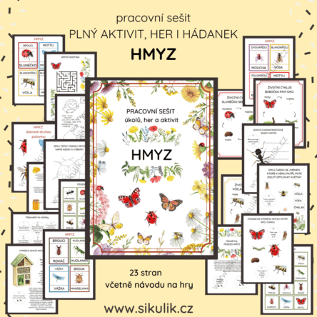 Hmyz pracovní sešit úkolů aktivit a her
