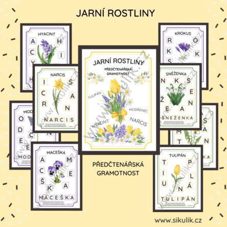 JARNÍ ROSTLINY předčtenářská gramotnost