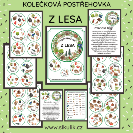 KOLEČKOVÁ POSTŘEHOVKA Z LESA
