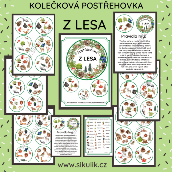 KOLEČKOVÁ POSTŘEHOVKA Z LESA
