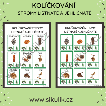 KOLÍČKOVÁNÍ PLODY STROMŮ