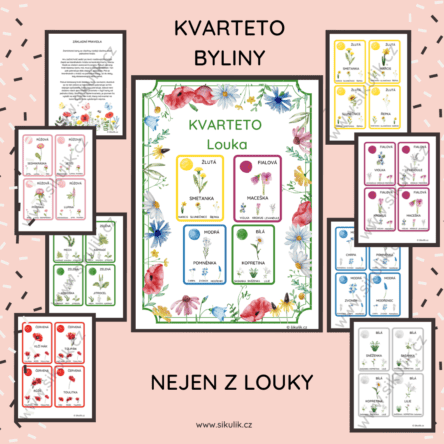 KVARTETO ROSTLINY