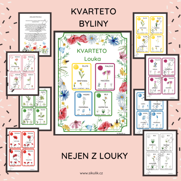 KVARTETO ROSTLINY