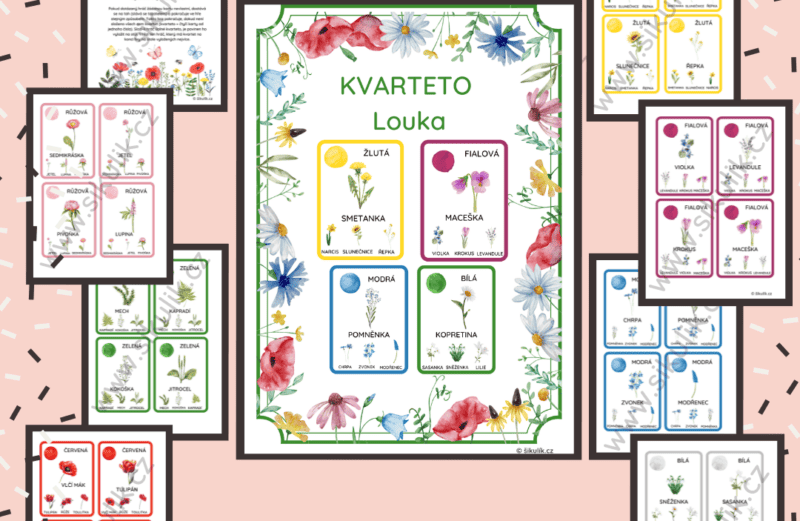 KVARTETO ROSTLINY