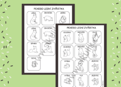 OMALOVÁNKOVÉ PEXESO LESNÍ ZVÍŘÁTKA