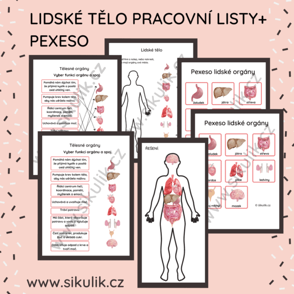 Lidské tělo orgány (pexeso+ pracovní listy)