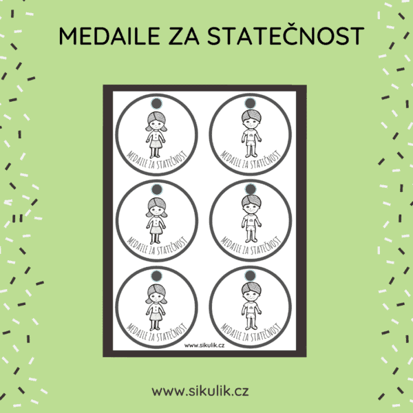 MEDAILE ZA STATEČNOST