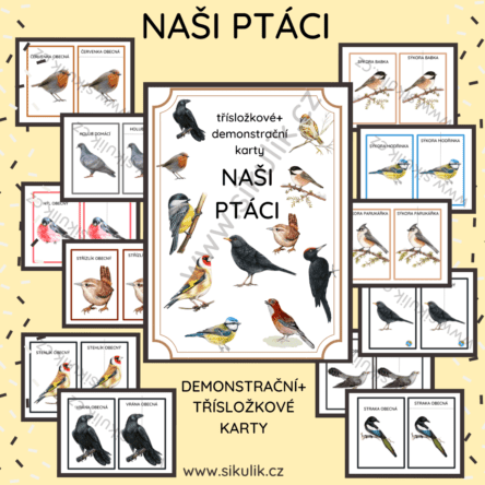 NAŠI PTÁCI třísložkové+ demonstrační karty