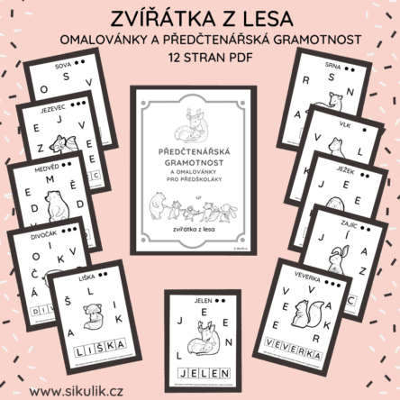 OMALOVÁNKY+ PŘEDČTENÁŘSKÁ GRAMOTNOST ZVÍŘÁTKA Z LESA