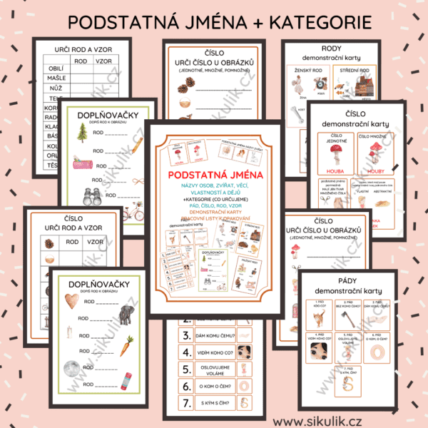 PODSTATNÁ JMÉNA + KATEGORIE (CO URČUJEME) PÁD, ČÍSLO, ROD, VZOR