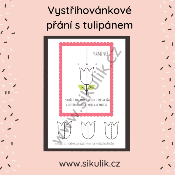 Vystřihovánkové přání s tulipánem