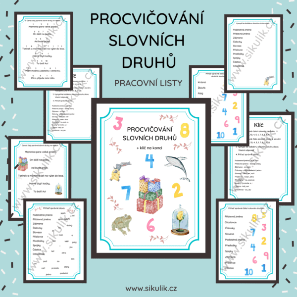 PROCVIČOVÁNÍ SLOVNÍCH DRUHŮ