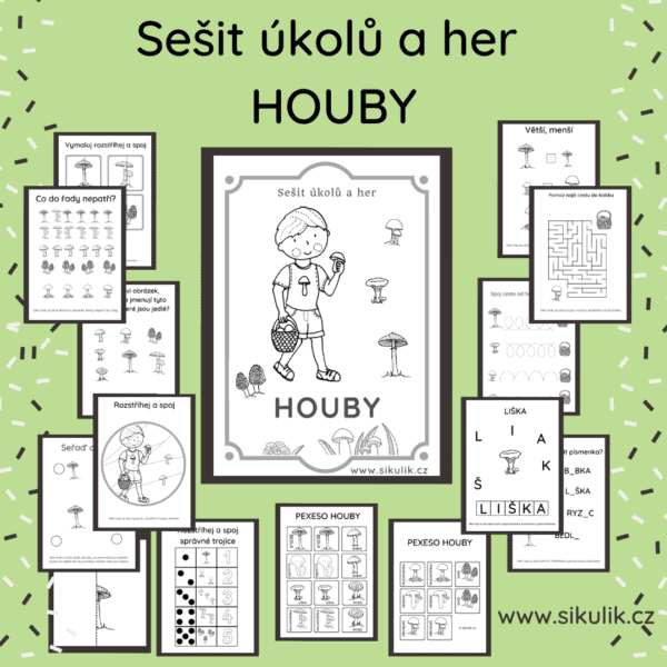 SEŠIT ÚKOLŮ A HER HOUBY
