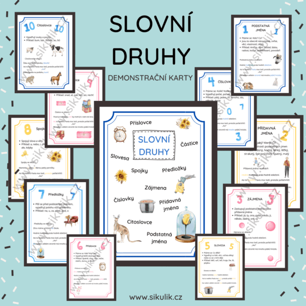 SLOVNÍ DRUHY DEMONSTRAČNÍ KARTY