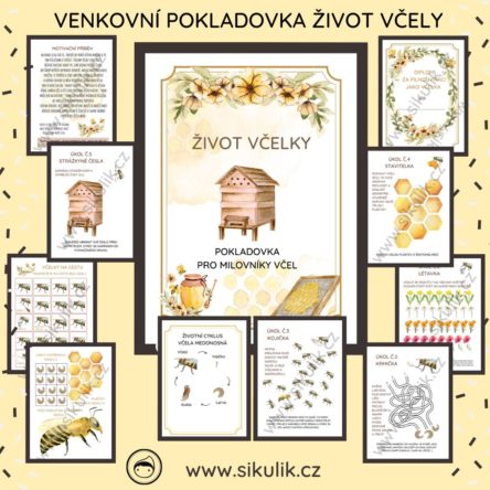 POKLADOVKA ŽIVOT VČELY