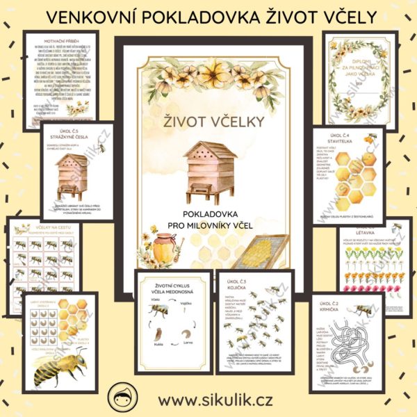 POKLADOVKA ŽIVOT VČELY