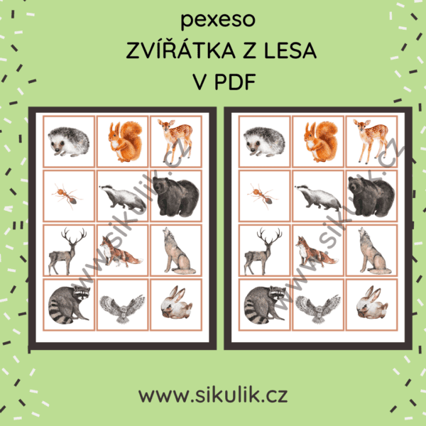 Pexeso zvířátka z LESA