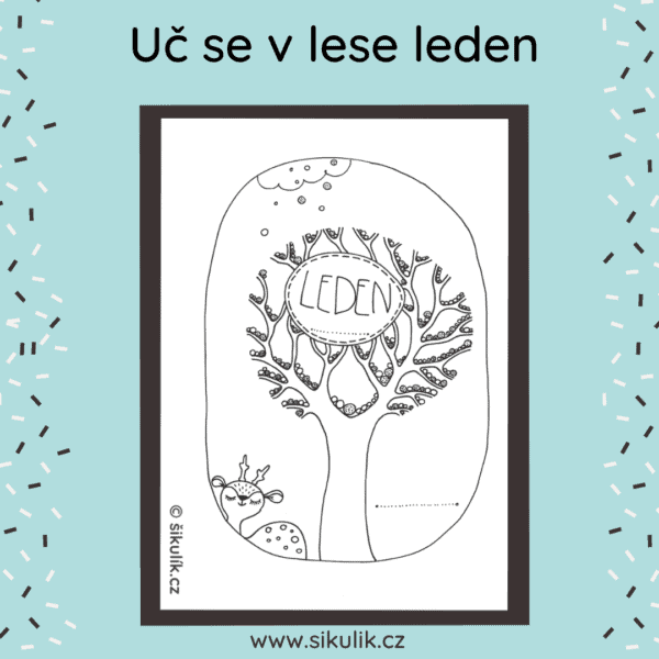 Uč se v lese LEDEN