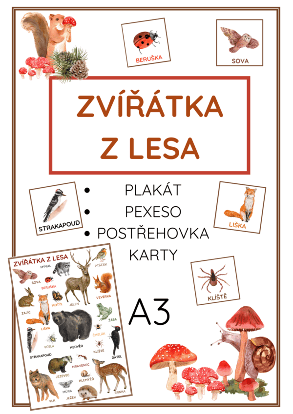 ZVÍŘÁTKA Z LESA plakát, pexeso, postřehovka, karty A3 - Image 2