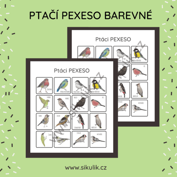 PTAČÍ PEXESO