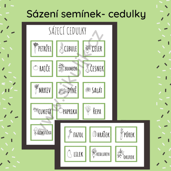 Omalovánkové cedulky- sázení zelenina