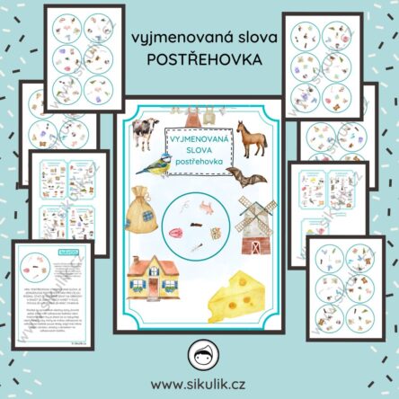 VYJMENOVANÁ SLOVA postřehovka