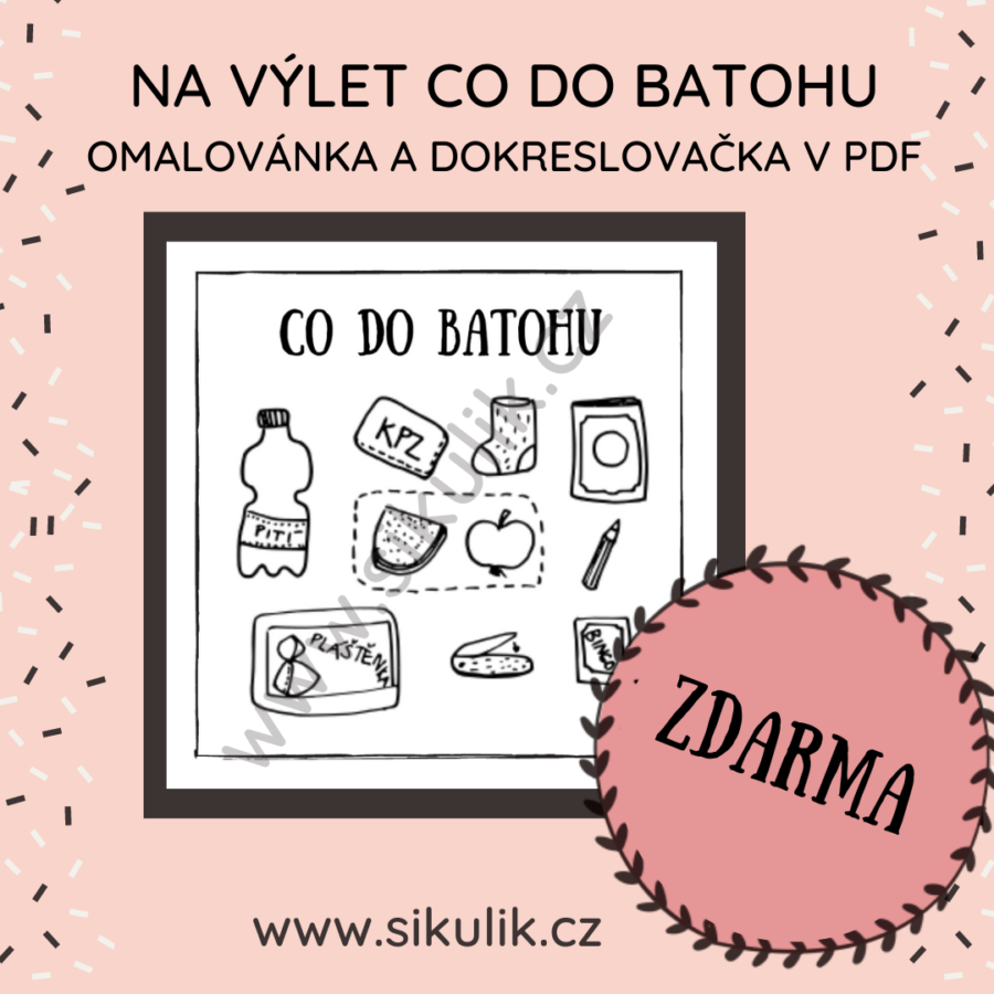 Úkol č. 8 batoh